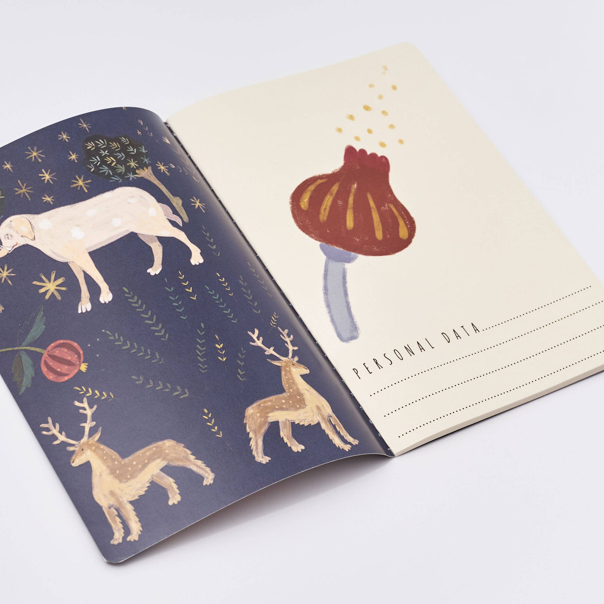 Fairytale Notebook & Journal