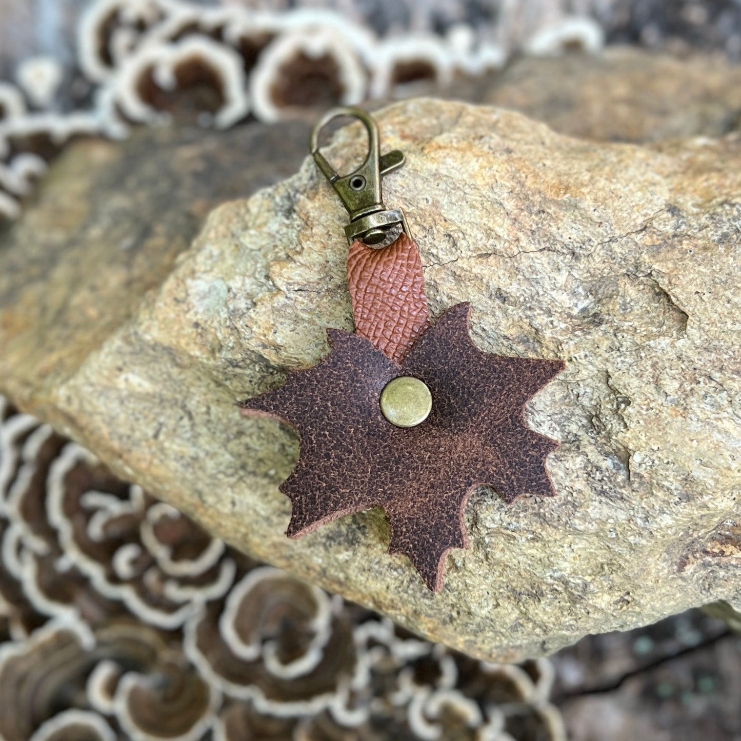 A small leather accessory with a brown leaf-shaped body, a reddish-brown strap, and an antique brass clasp, displayed on a textured rock.