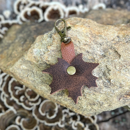 A small leather accessory with a brown leaf-shaped body, a reddish-brown strap, and an antique brass clasp, displayed on a textured rock.